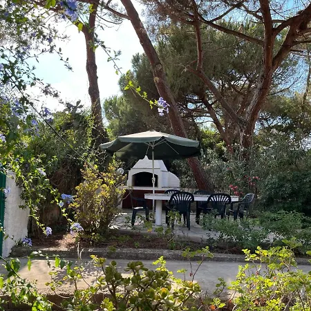 Apartamento Casa Carla Casa In Pineta A 100 Mt Dalla Spiaggia *