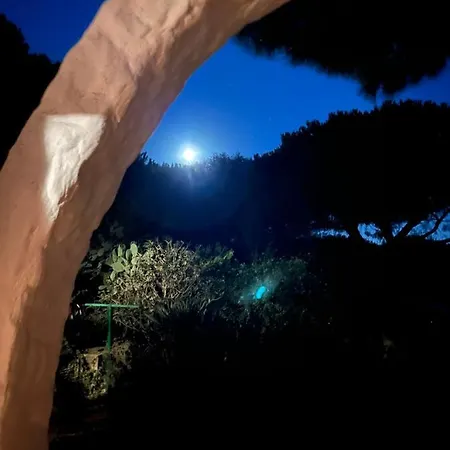 Apartamento Casa Carla Casa In Pineta A 100 Mt Dalla Spiaggia