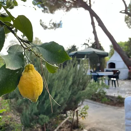 Casa Carla Casa In Pineta A 100 Mt Dalla Spiaggia Apartamento *